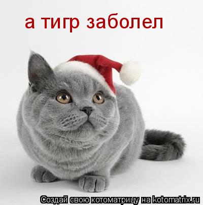а тигр заболел... Котоматрица: а тигр заболел