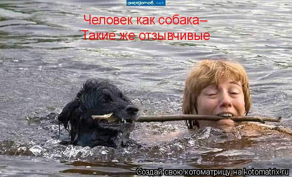 Человек как собака _ Такие же отзывчивые... Котоматрица: Человек как собака _ Такие же отзывчивые