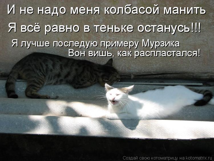 И не надо меня колбасой манить Я всё равно в теньке останусь!!! Я лучше последую примеру Мурзика Вон ... Котоматрица: И не надо меня колбасой манить Я всё равно в теньке останусь!!! Я лучше последую примеру Мурзика Вон вишь, как распластался!