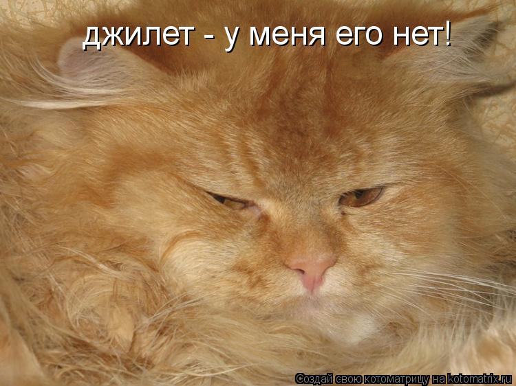 джилет - у меня его нет!... Котоматрица: джилет - у меня его нет!
