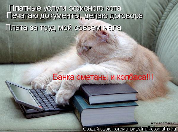 Платные услуги офисного кота Печатаю документы, делаю договора Плата за труд мой совсем мала Банка см... Котоматрица: Платные услуги офисного кота Печатаю документы, делаю договора Плата за труд мой совсем мала Банка сметаны и колбаса!!!