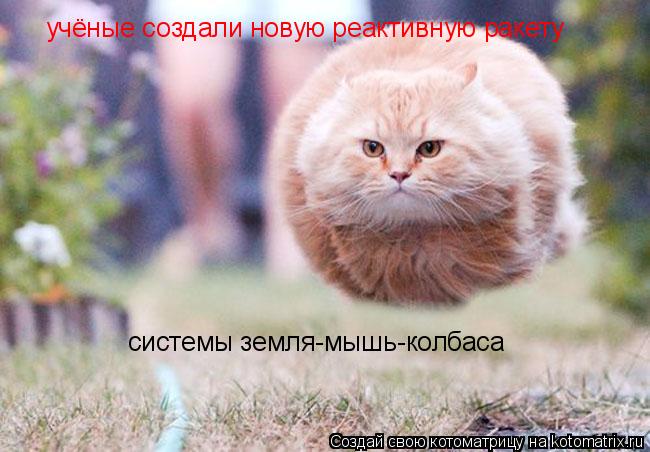 учёные создали новую реактивную ракету системы земля-мышь-колбаса... Котоматрица: учёные создали новую реактивную ракету системы земля-мышь-колбаса