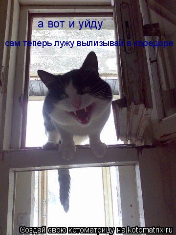 а вот и уйду сам теперь лужу вылизывай в коредоре... Котоматрица: а вот и уйду сам теперь лужу вылизывай в коредоре