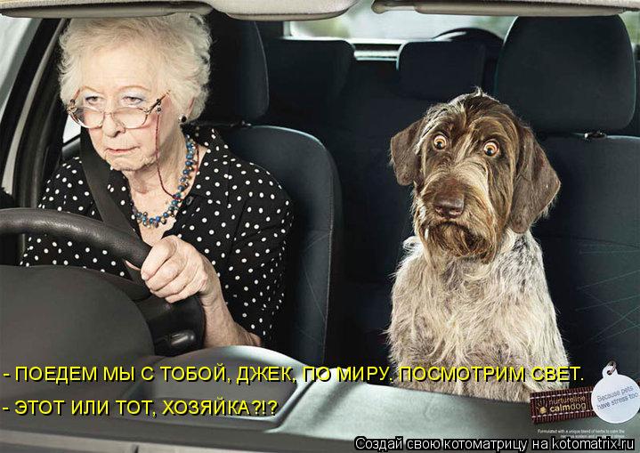 - ПОЕДЕМ МЫ С ТОБОЙ, ДЖЕК, ПО МИРУ. ПОСМОТРИМ СВЕТ. - ЭТОТ ИЛИ ТОТ, ХОЗЯЙКА?!?... Котоматрица: - ПОЕДЕМ МЫ С ТОБОЙ, ДЖЕК, ПО МИРУ. ПОСМОТРИМ СВЕТ. - ЭТОТ ИЛИ ТОТ, ХОЗЯЙКА?!?