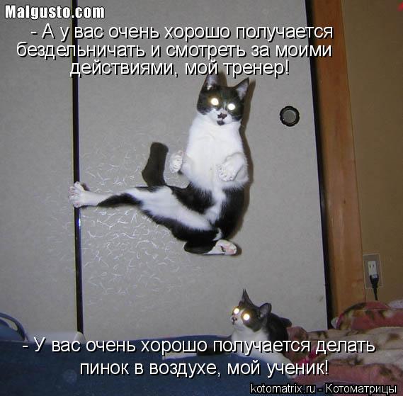 - У вас очень хорошо получается делать пинок в воздухе, мой ученик! - А у вас очень хорошо получаетс... Котоматрица: - У вас очень хорошо получается делать пинок в воздухе, мой ученик! - А у вас очень хорошо получается бездельничать и смотреть за моими дейс