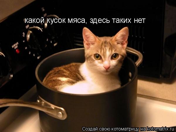какой кусок мяса, здесь таких нет... Котоматрица: какой кусок мяса, здесь таких нет