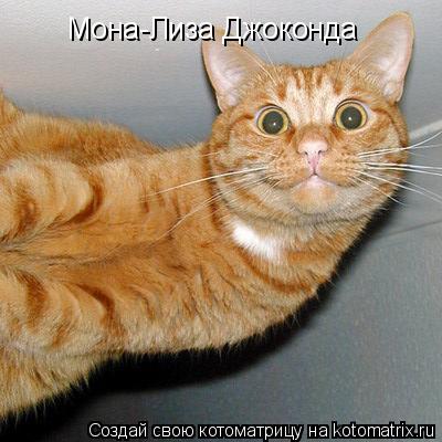 Мона-Лиза Джоконда... Котоматрица: Мона-Лиза Джоконда