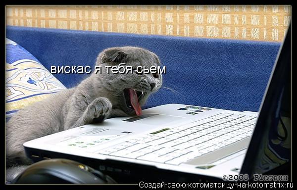 вискас я тебя сьем... Котоматрица: вискас я тебя сьем