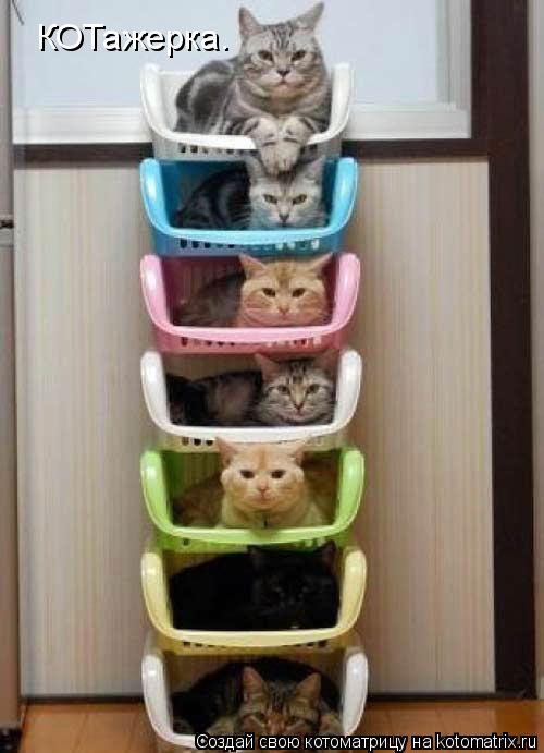 КОТажерка.... Котоматрица: КОТажерка.