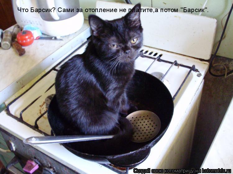 Что Барсик? Сами за отопление не платите,а потом "Барсик".... Котоматрица: Что Барсик? Сами за отопление не платите,а потом "Барсик".