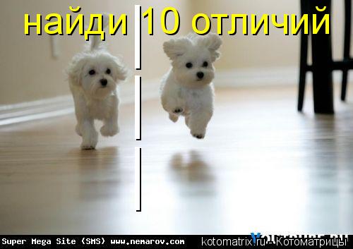 | | | найди 10 отличий... Котоматрица: | | | найди 10 отличий