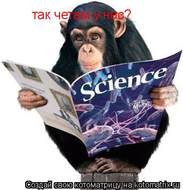 Котоматрица: так четам у нас?