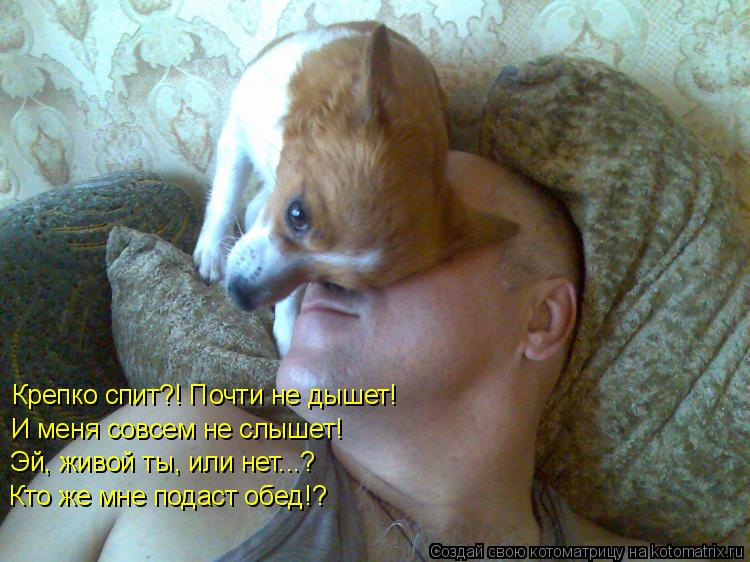 Котоматрица: Крепко спит?! Почти не дышет!  И меня совсем не слышет! Эй, живой ты, или нет...?  Кто же мне подаст обед!?