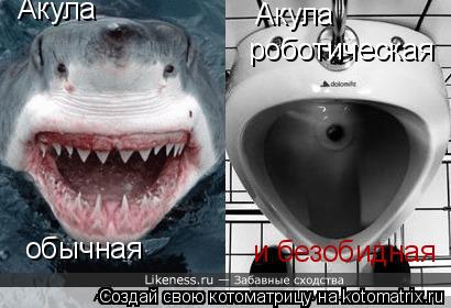 Котоматрица: обычная Акула  Акула  роботическая и безобидная