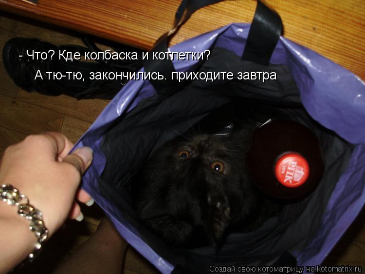 Котоматрица: - Что? Кде колбаска и котлетки? А тю-тю, закончились. приходите завтра