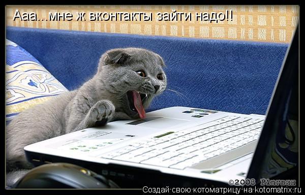Котоматрица: Ааа...мне ж вконтакты зайти надо!!