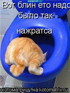 Котоматрица: Вот блин ето надо было так нажратса  было так  нажратса