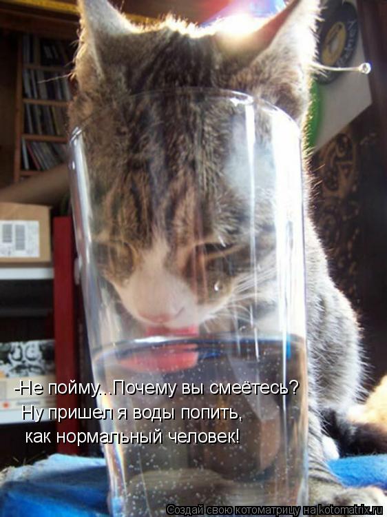 Котоматрица: -Не пойму...Почему вы смеётесь?  Ну пришел я воды попить, как нормальный человек!
