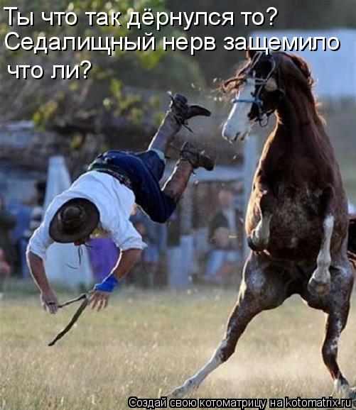 Котоматрица: Ты что так дёрнулся то? Седалищный нерв защемило что ли?