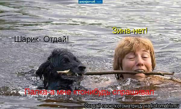 Котоматрица: Шарик- Отдай! Зина-нет! Палка-а мне ктонибудь спрашивал