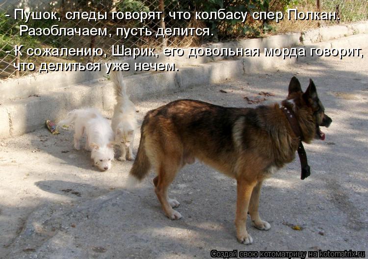 Котоматрица: - Пушок, следы говорят, что колбасу спер Полкан.  Разоблачаем, пусть делится. - К сожалению, Шарик, его довольная морда говорит, что делиться у