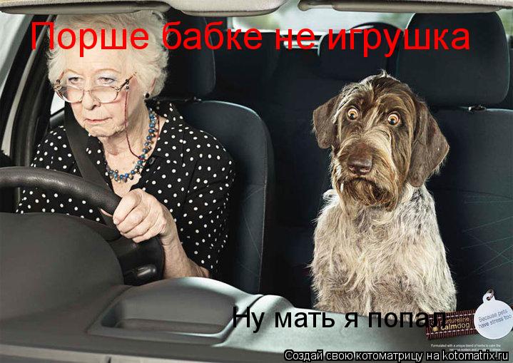 Котоматрица: Порше бабке не игрушка Ну мать я попал