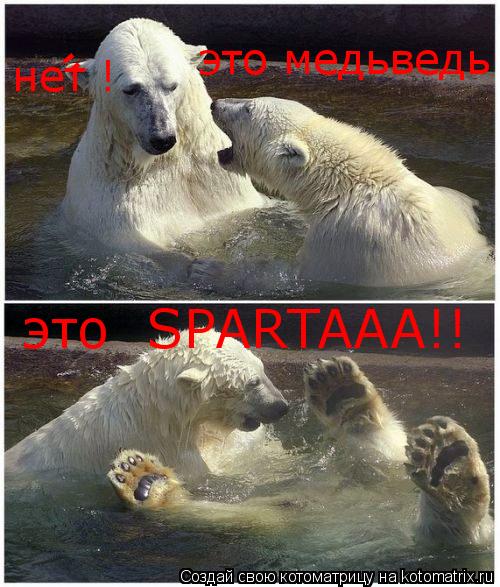 Котоматрица: ' это медьведь ? нет ! это  SPARTAAA!!