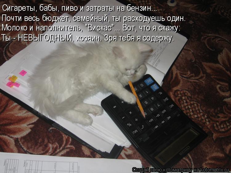 Сигареты, бабы, пиво и затраты на бензин... Молоко и наполнитель, "Вискас"... Вот, что я скажу: Ты - ... Котоматрица: Сигареты, бабы, пиво и затраты на бензин... Молоко и наполнитель, "Вискас"... Вот, что я скажу: Ты - НЕВЫГОДНЫЙ, хозяин. Зря тебя я содержу. Почти в