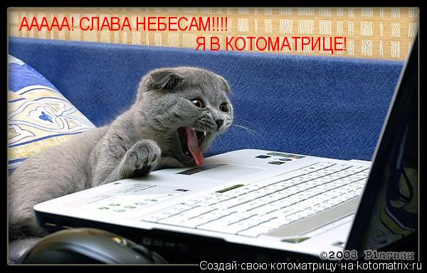 Котоматрица: ААААА! СЛАВА НЕБЕСАМ!!!! Я В КОТОМАТРИЦЕ!