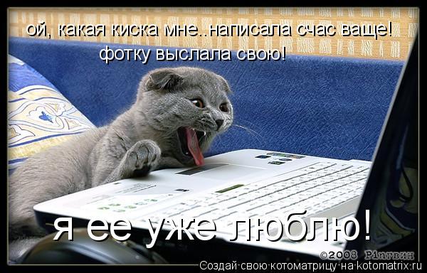 ой, какая киска мне..написала счас ваще! фотку выслала свою! я ее уже люблю!... Котоматрица: ой, какая киска мне..написала счас ваще! фотку выслала свою! я ее уже люблю!