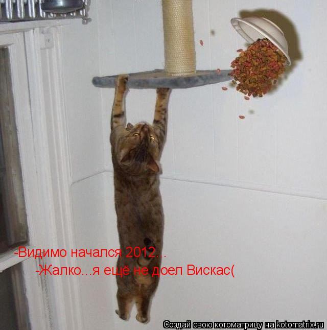 -Видимо начался 2012... -Жалко...я ещё не доел Вискас(... Котоматрица: -Видимо начался 2012... -Жалко...я ещё не доел Вискас(