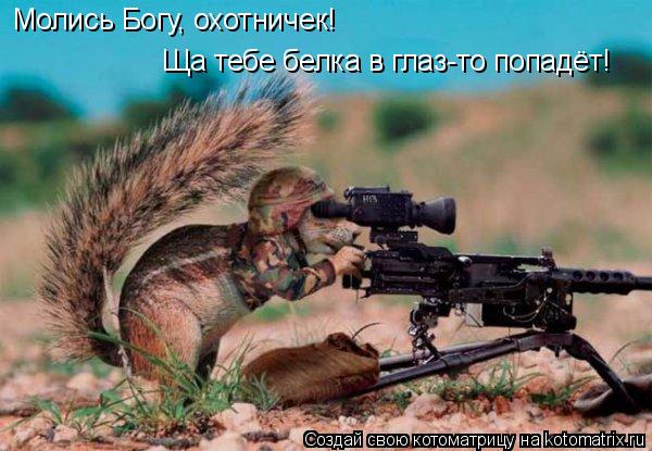 Молись Богу, охотничек! Ща тебе белка в глаз-то попадёт!... Котоматрица: Молись Богу, охотничек! Ща тебе белка в глаз-то попадёт!