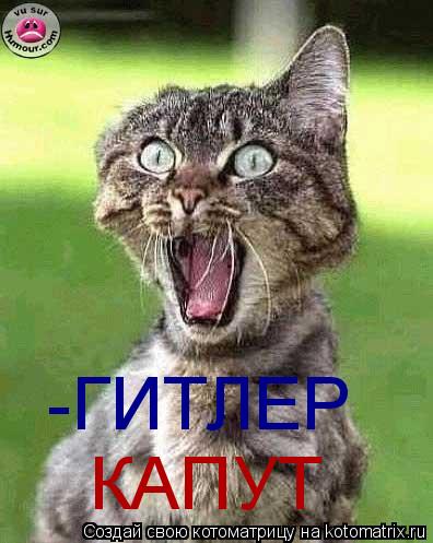 -ГИТЛЕР КАПУТ... Котоматрица: -ГИТЛЕР КАПУТ