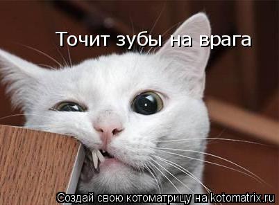 Точит зубы на врага... Котоматрица: Точит зубы на врага