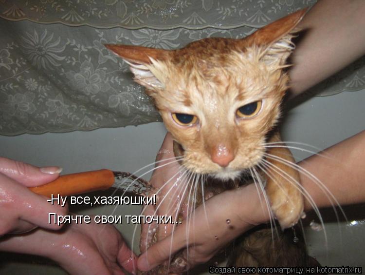 -Ну все,хазяюшки! Прячте свои тапочки...... Котоматрица: -Ну все,хазяюшки! Прячте свои тапочки...