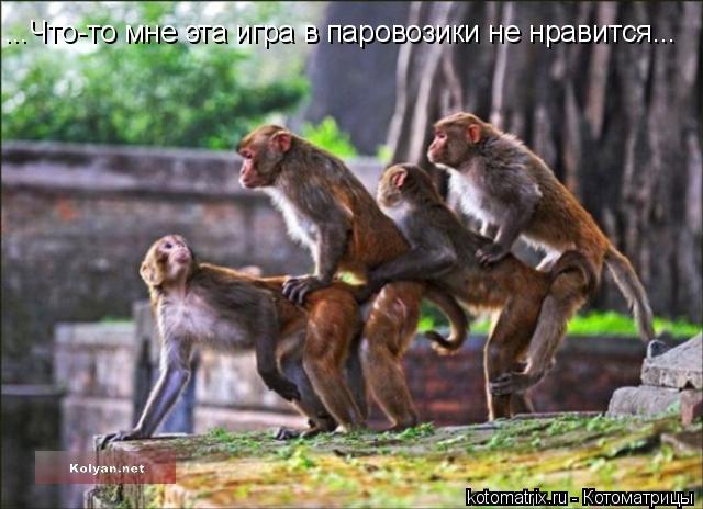 ...Что-то мне эта игра в паровозики не нравится...... Котоматрица: ...Что-то мне эта игра в паровозики не нравится...