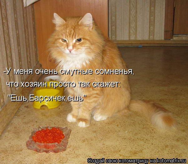 -У меня очень смутные сомненья, что хозяин просто так скажет: "Ешь,Барсичек,ешь"... Котоматрица: -У меня очень смутные сомненья, что хозяин просто так скажет: "Ешь,Барсичек,ешь"