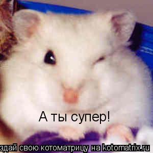 А ты супер!... Котоматрица: А ты супер!