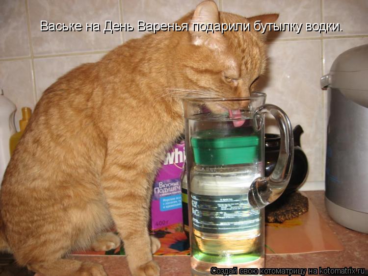 Ваське на День Варенья подарили бутылку водки.... Котоматрица: Ваське на День Варенья подарили бутылку водки.