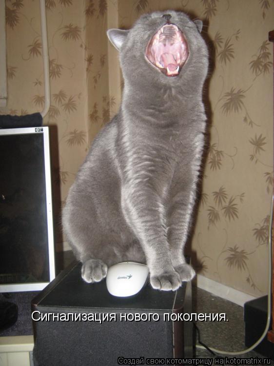 Сигнализация нового поколения.... Котоматрица: Сигнализация нового поколения.