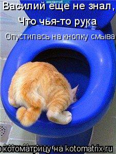 Василий еще не знал, Что чья-то рука Опустилась на кнопку смыва...... Котоматрица: Василий еще не знал, Что чья-то рука Опустилась на кнопку смыва...