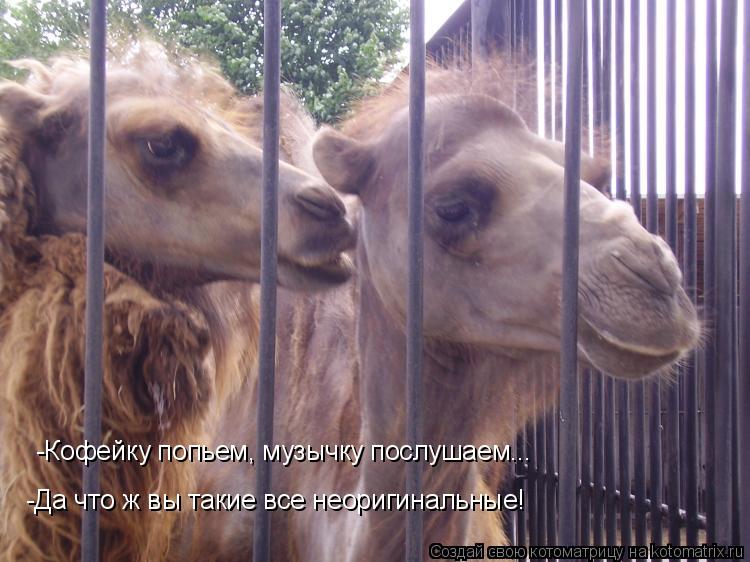 -Кофейку попьем, музычку послушаем... -Да что ж вы такие все неоригинальные!... Котоматрица: -Кофейку попьем, музычку послушаем... -Да что ж вы такие все неоригинальные!