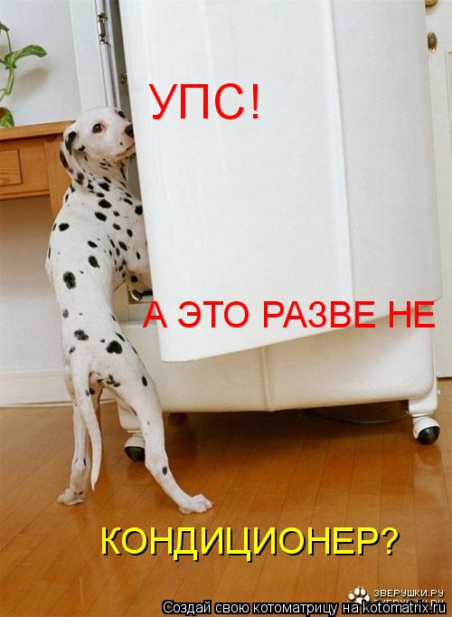 УПС! А ЭТО РАЗВЕ НЕ КОНДИЦИОНЕР?... Котоматрица: УПС! А ЭТО РАЗВЕ НЕ КОНДИЦИОНЕР?