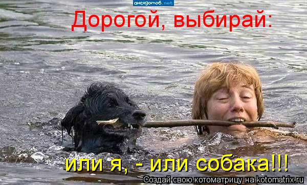 Дорогой, выбирай: или я, - или собака!!!... Котоматрица: Дорогой, выбирай: или я, - или собака!!!