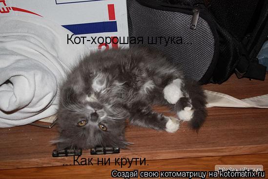 Кот-хорошая штука... ...Как ни крути.... Котоматрица: Кот-хорошая штука... ...Как ни крути.