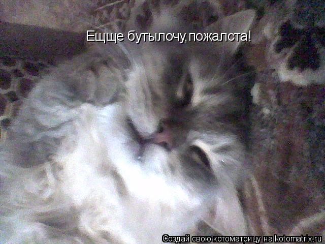 Ещще бутылочу,пожалста!... Котоматрица: Ещще бутылочу,пожалста!