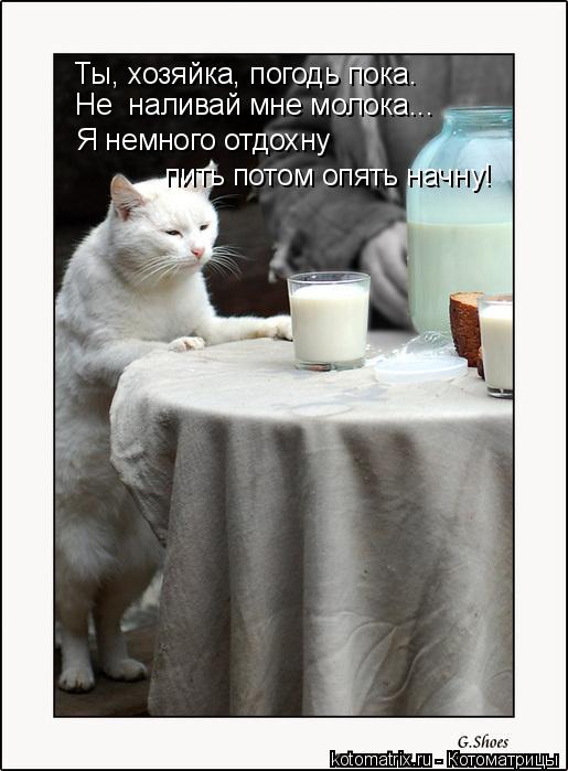 Ты, хозяйка, погодь пока. Не наливай мне молока... Я немного отдохну пить потом опять начну!... Котоматрица: Ты, хозяйка, погодь пока. Не наливай мне молока... Я немного отдохну пить потом опять начну!