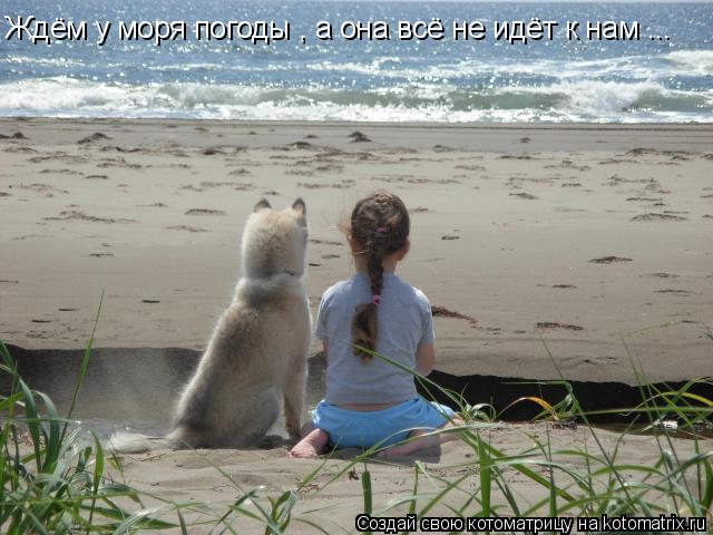 Ждём у моря погоды , а она всё не идёт к нам ...... Котоматрица: Ждём у моря погоды , а она всё не идёт к нам ...