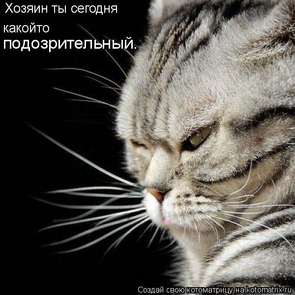 Хозяин ты сегодня какойто подозрительный.... Котоматрица: Хозяин ты сегодня какойто подозрительный.
