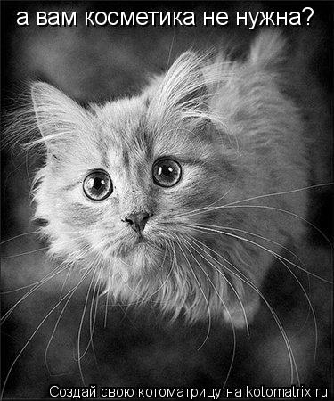 а вам косметика не нужна?... Котоматрица: а вам косметика не нужна?